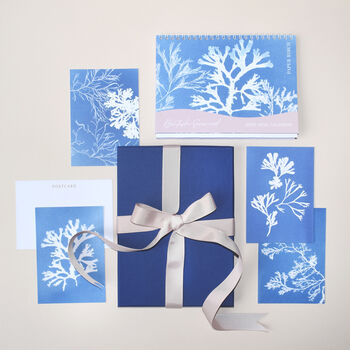 Calendar And Postcard Gift Set British Seaweed, 2 of 7