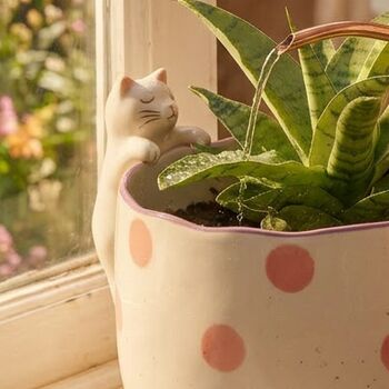 Peeking Cat Planter, 3 of 4