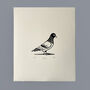 Pigeon A5 Linocut Print By Theodore Roberts, thumbnail 2 of 5