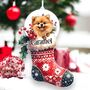 Personalised Pomeranian Stocking Bauble, thumbnail 2 of 2