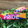 Pride Wristbands / Gay Pride Rainbow Wristbands, thumbnail 2 of 4