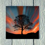 Sunset At Sycamore Gap Greetings Card, thumbnail 1 of 2