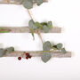 Eucalyptus Scandi Natural Wall Hanging Ladder Tree, thumbnail 3 of 5