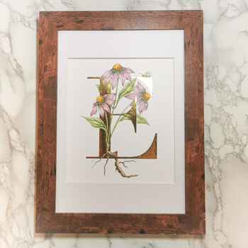 E Is For Echinacea Gilded Initial Print, 5 of 7