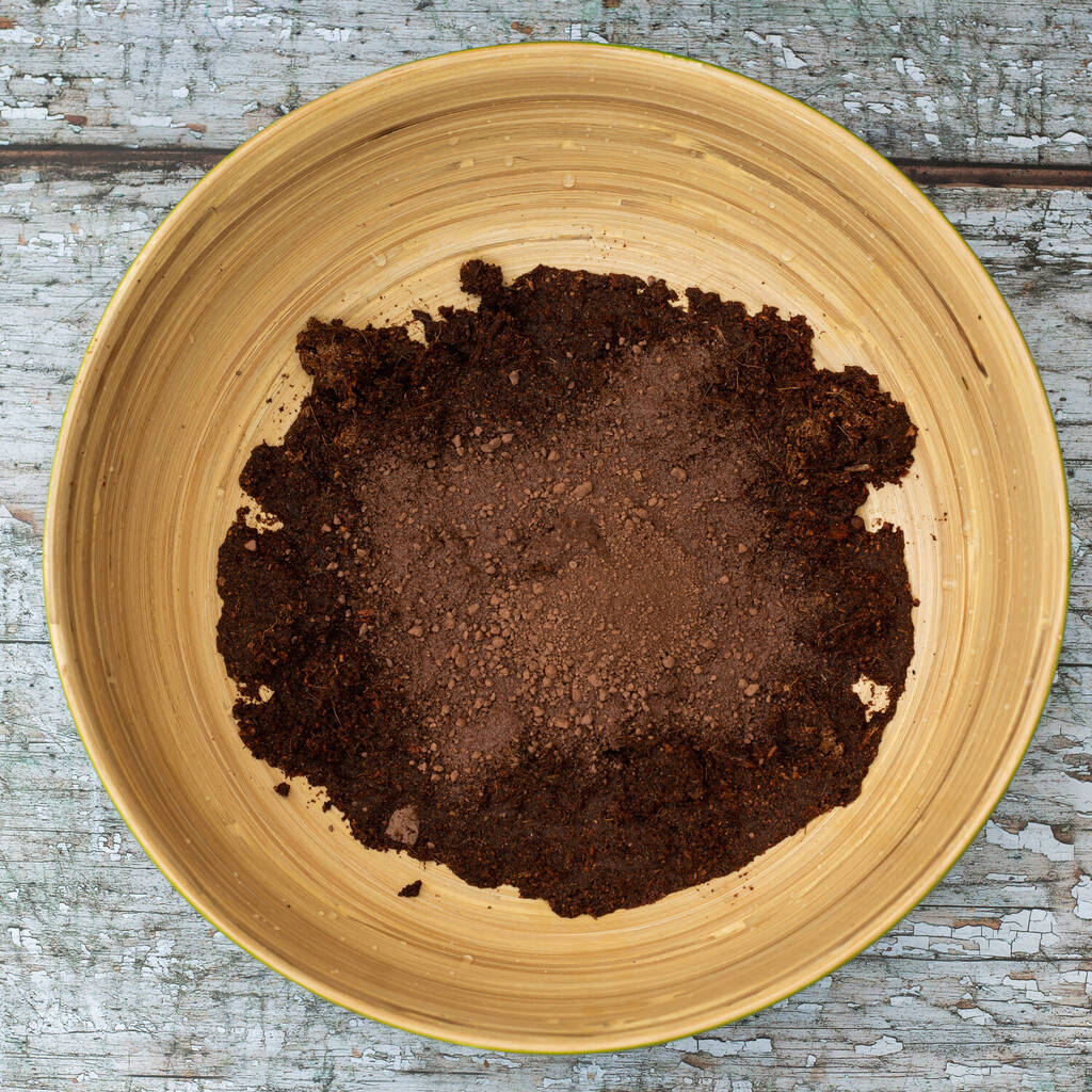 Make Your Own Sunflower Seed Bombs Kit By Mary in the Wild