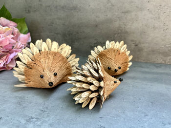 Set Three Handmade Hedgehog Ornaments Coconut, 5 of 12