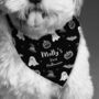 Personalised Dog Halloween Bandana Gift, thumbnail 3 of 3