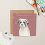 Street Vet Bella Charity Christmas Card With Gold Foil, thumbnail 1 of 3