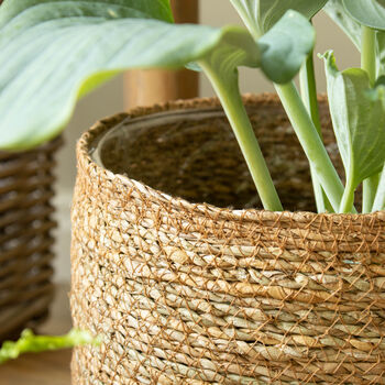 Seagrass Basket Plant Pot, 2 of 3