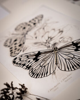 The Modern Botanist Luxury Christmas Gift Box, 4 of 9