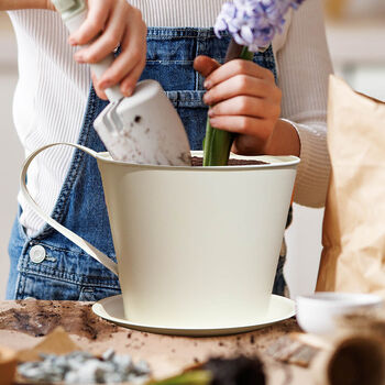 Personalised Cream Tea Cup Planter Gift, 3 of 6
