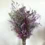 Purple Wild Flower Dried Flower Bouquet, thumbnail 1 of 4