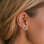 Serpenti Kyanite Sterling Silver Stud Earrings, thumbnail 1 of 11