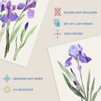 Set Three Wall Art Prints Iris Floral Flowers Purple, 4 of 7