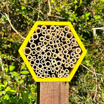Yellow Bee Hive Insect Hotel And Bug House, 3 of 9