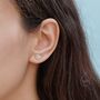 Sterling Silver Aster Daisy Flower Stud Earrings, thumbnail 3 of 12