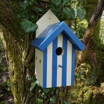 Handcrafted Beach Hut Bird House By Siop Gardd | notonthehighstreet.com