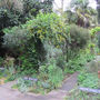 London Botanical Institute Tour And Cream Tea For Two, thumbnail 2 of 8