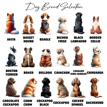 Personalised Dog Summer Beach Walk Collection, 6 of 11