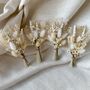 White Daisy Dried Flower Wedding Buttonhole, thumbnail 1 of 4