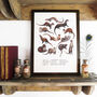 Raft Of Otters Art Print, thumbnail 1 of 5