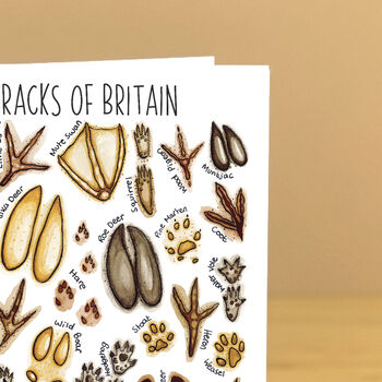Animal Tracks Of Britain Greeting Card, 7 of 10