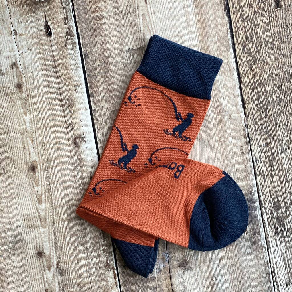 Best Dad Hobby Socks Gift Bag By Attic | notonthehighstreet.com