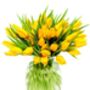 Fresh Yellow Tulips Bouquet, thumbnail 3 of 3