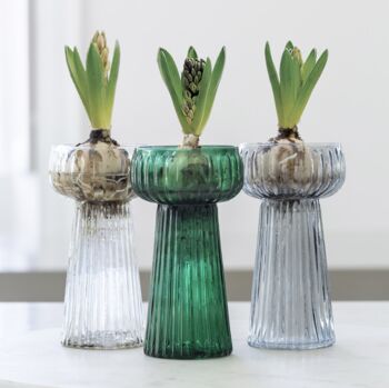Ribbed Glass Hyacinth Vase, 4 of 4