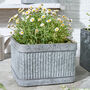 Set Of Three Industrial Corrugated Tub Planters, thumbnail 4 of 6
