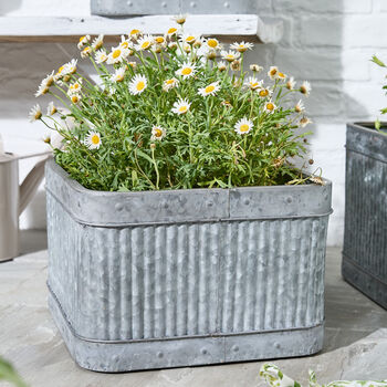 Set Of Three Industrial Corrugated Tub Planters, 4 of 6