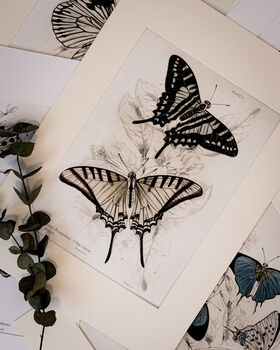 Framed Pair Of Vintage Butterfly Art Prints In Sand Frames, 4 of 10