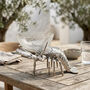 Lobster With Large Crackle Glass Bowl, thumbnail 1 of 2