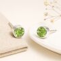 Sterling Silver August Peridot Birthstone Stud Earrings, thumbnail 1 of 5