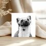 Pine Marten Wildlife Greeting Card, thumbnail 1 of 6