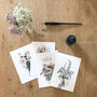 ‘Appreciation’ Hand Illustrated Floral Postcard Set, thumbnail 1 of 7