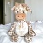 Newborn Personalised Soft Toy, thumbnail 1 of 8