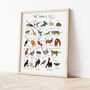 The A To Z Of The Jungle Print, thumbnail 2 of 6