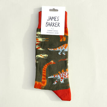 Dinosaur Socks, 3 of 5