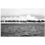 Treeline And Clouds Photographic Art Print, thumbnail 3 of 4