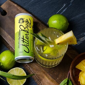 'Lemonade Swing' Healthy Soft Drink Acv Seltzer Pack, 4 of 12