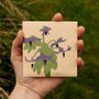 Botanical Greetings Card With Borage Seeds, thumbnail 6 of 7