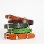 Classic Leather Dog Collar, thumbnail 5 of 8