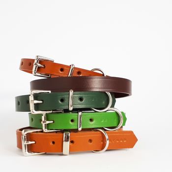 Classic Leather Dog Collar, 5 of 8
