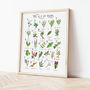 The A To Z Of Herbs Print, thumbnail 3 of 6
