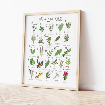 The A To Z Of Herbs Print, 3 of 6