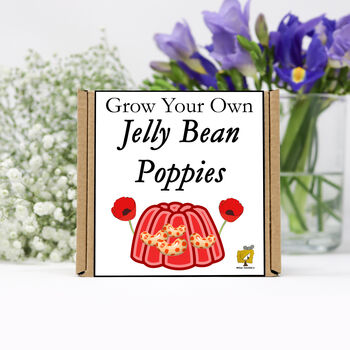 Gardening Gift. Grow Your Own Jelly Bean Poppies Kit, 2 of 4