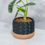 Carbon Hexa Planter, thumbnail 4 of 4
