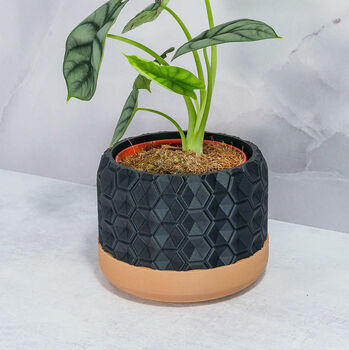Carbon Hexa Planter, 4 of 4