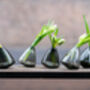 Tumbling Glass Vase Grey Transparent, thumbnail 6 of 7